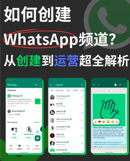 多格式支援